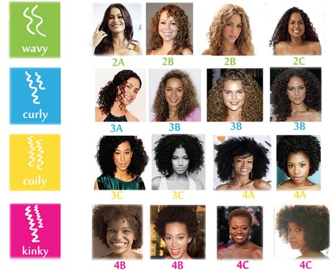 Find your curly type! I'm a 2B/2C/3A combo. Curl Chart, Types Of Curly Hair, Perm Ideas, Haircut Tutorials, Hair Type Chart, Hair Chart, 3a Hair, Different Types Of Curls, Permed Hair