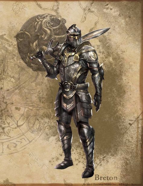 Skyrim Art, Elder Scrolls Art, Elder Scrolls Online, Knight Art, Knight Armor, Fantasy Male, The Elder Scrolls, Fantasy Armor, Oblivion