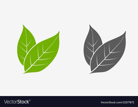 Tea leaves icon set green and gray isolated Vector Image Tea Leaf Illustration, Tea Leaf Logo, Caffeine Tattoo, Tea Leaves Illustration, Tea Icon, Nautical Logo, Tea Logo, Stick Design, Leaves Illustration