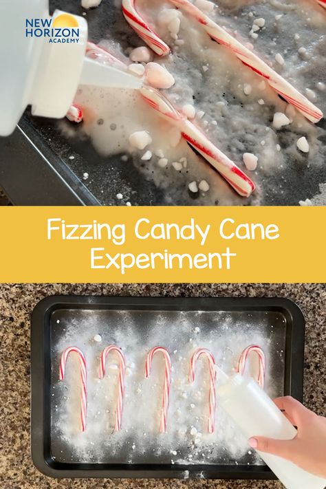 Cranberry Science Experiment For Kids, Candy Came Christmas Ideas, Candy Cane Melting Experiment, Technology For Preschoolers Activities, Fizzy Candy Cane Experiment, Candy Cane Dissolving Experiment, Fizzing Candy Cane Experiment, Christmas Theme Science Experiments, After Christmas Activities For Kids