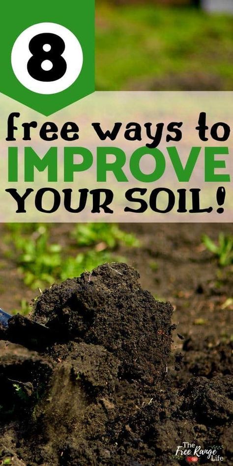 Compost Soil, Garden Compost, Garden Veggies, Healthy Garden, Home Vegetable Garden, Organic Gardening Tips, Soil Improvement, Olive Garden, Garden Soil