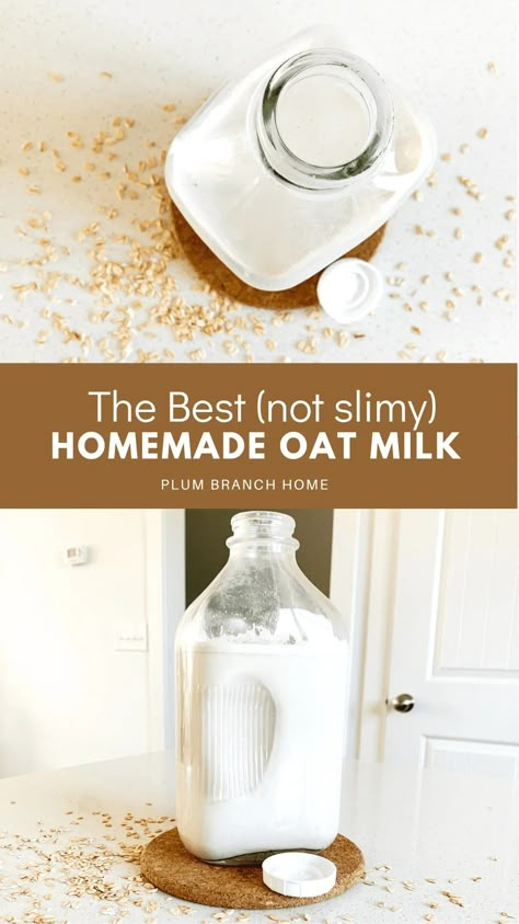 Homemade Oat Milk That's Not Slimy (The Best Recipe) Oat Milk Creamer Recipe, Oat Milk Creamer, Make Oat Milk, Homemade Oat Milk, Dairy Free Creamer, Oat Milk Recipe, How To Make Oats, Dairy Free Coffee, Make Almond Milk