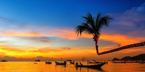 On the beach, Koh Tao, Thailand. Photo / 123RF Best Islands To Visit, Thailand Luxury, Thailand Hotels, Pattaya Beach, Thailand Pictures, Koh Tao Thailand, Islands To Visit, Thailand Holiday, Thailand Wedding