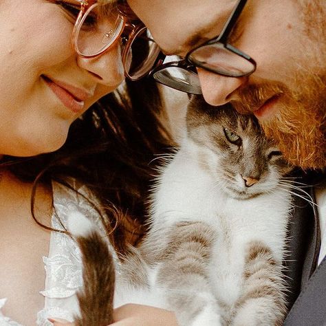 Vancouver Wedding Photographer (@eunicechanphoto) • Instagram photos and videos Cat Family Photo, Cat Family Portrait, Backyard Farm Wedding, Cat Photoshoot, Family Pet Photography, Christmas Couple Photos, Christmas Family Photoshoot, Wedding Sunset, Backyard Farm