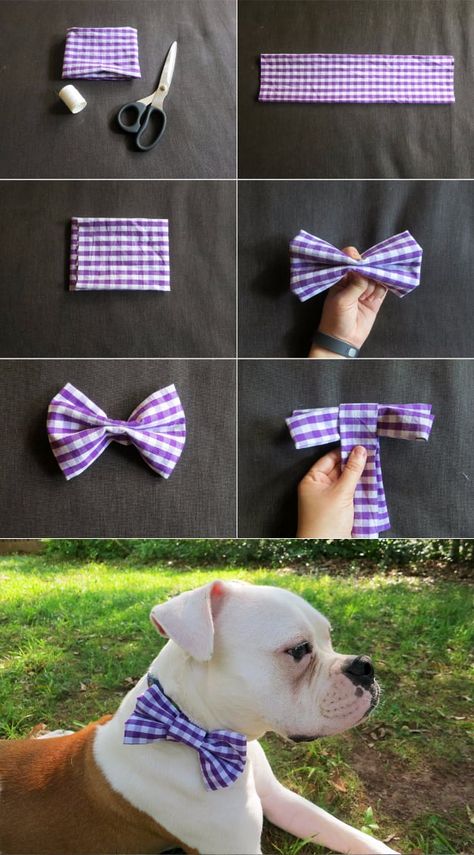 Dog Hacks Diy, Dog Bow Tie Pattern, Pet Memorial Diy, Dog Wedding Attire, Diy Dog Collar, Bowtie Pattern, Dog Clothes Diy, Dog Collar Bows, Pet Bow Ties