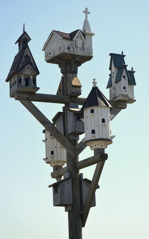 Martin House Plans, Purple Martin House Plans, Martin Bird House, Martin Bird, Purple Martin House, Roanoke Island, Homemade Bird Houses, Purple Martin, Bird Houses Ideas Diy