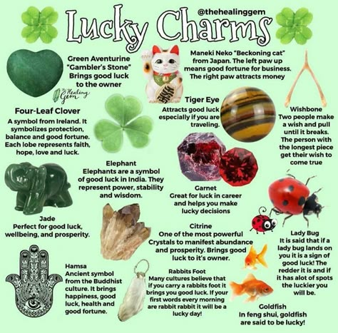 House Blessings, Green Witchcraft, Witch Tips, Good Luck Charms, Wiccan Magic, Witch Spirituality, Witchy Tips, Eclectic Witch, Witch Spell Book