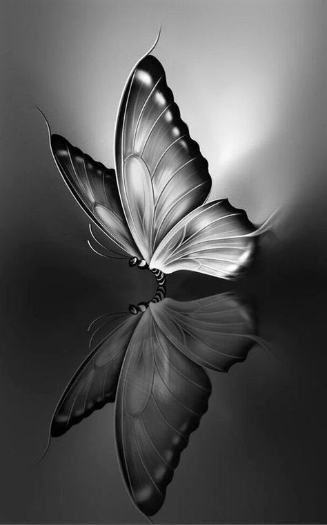 Grey Aesthetic Wallpaper for mobile phone, tablet, desktop computer and other devices HD and 4K wallpapers. Iphone Dark Wallpaper, Black Butterflies Aesthetic, Butterflies Aesthetic, Outfits With Black Leggings, Black Butterflies, Grey Wallpaper, Butterfly Wallpaper, Butterfly Art, White Photo