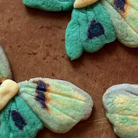 Lauren Dozier on Instagram: "What started out as a witchy little lunar moth 🦋 ended up being just some guy, but he’s still a super cute cookie. #autumnbaking #sugarcookies #autumnvibes #pinterestvibes #witchyvibe #whimsigoth" Drawing Meme, Beauty Cakes, Cute Baking, Spring Mood, Cookie Box, Fall Baking, Cute Cookies, Cute Food, Moth