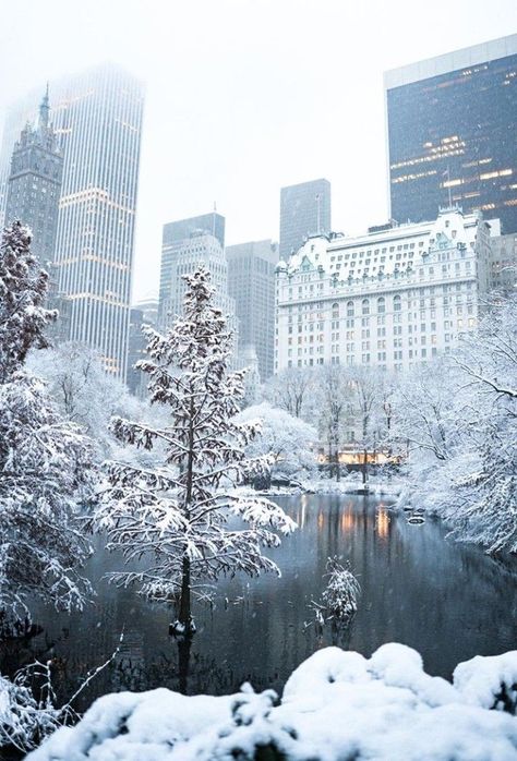 Snow covered Central Park in NYC New York City Manhattan. Central park after a winter blizzard snow storm. New York Snow, New York Landmarks, New York City Manhattan, New York Winter, Nyc Christmas, Nyc Park, Winter Szenen, Central City, New York Aesthetic