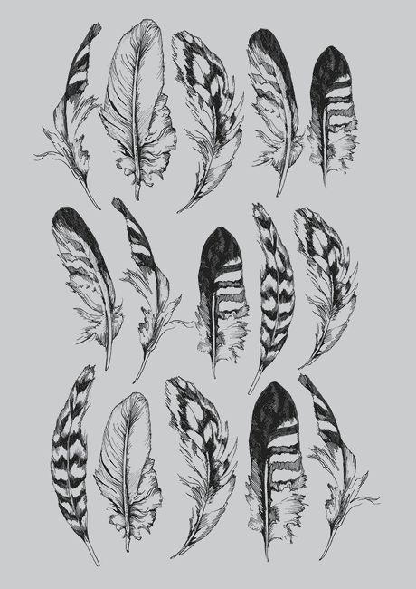 Sketch Animation, Watercolor Tattoo Ideas, Tattoos Hand, Feather Drawing, Tattoo Traditional, Feather Tattoo, Feather Art, Feather Tattoos, Back Tattoos