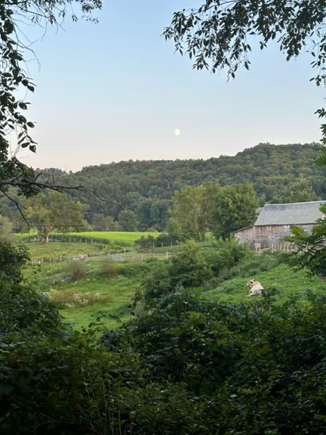 Rural Farm Aesthetic, East Of Eden Aesthetic, Spencer Aesthetic, Vermont Aesthetic, Massachusetts Aesthetic, Manifestation Mood Board, Eyebrow Raise, Vermont Trip, Vermont Mountains