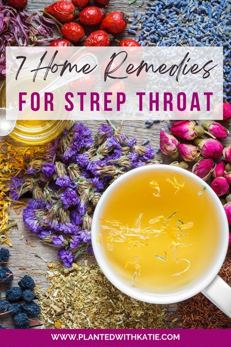 Explore these 7 amazing home remedies for strep throat! From soothing salt water gargles to the natural power of oregano oil, echinacea, and vitamin C, you'll learn how to ease discomfort, reduce inflammation, and boost your immune system. Your body will thank you! 🌿💪 #StrepThroatRemedies #NaturalHealing #FoodIsMedicine #herbalremedies Homeopathic Strep Throat Remedies, Holistic Remedies For Strep Throat, Best Herbs For Sore Throat, At Home Strep Throat Remedy, Herbal Remedies For Strep Throat, Healing Strep Throat Naturally, Natural Throat Remedies, How To Heal Strep Throat Naturally, Diy Strep Throat Remedy