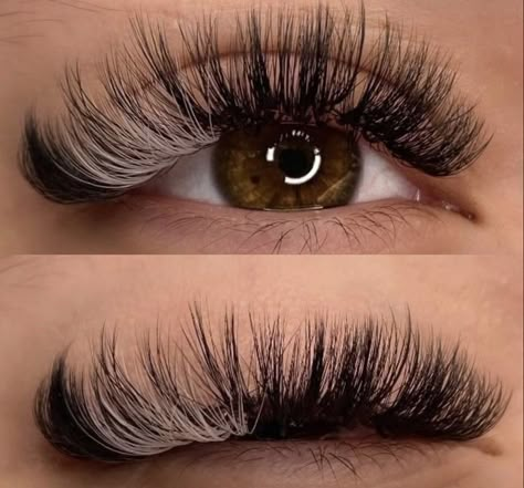 Lash Ideas, Lashes Fake Eyelashes, Lash Extensions Makeup, Color Extensions, Lash Styles, Eyelash Extensions Styles, Perfect Eyelashes, Pretty Lashes, Lash Extensions Styles