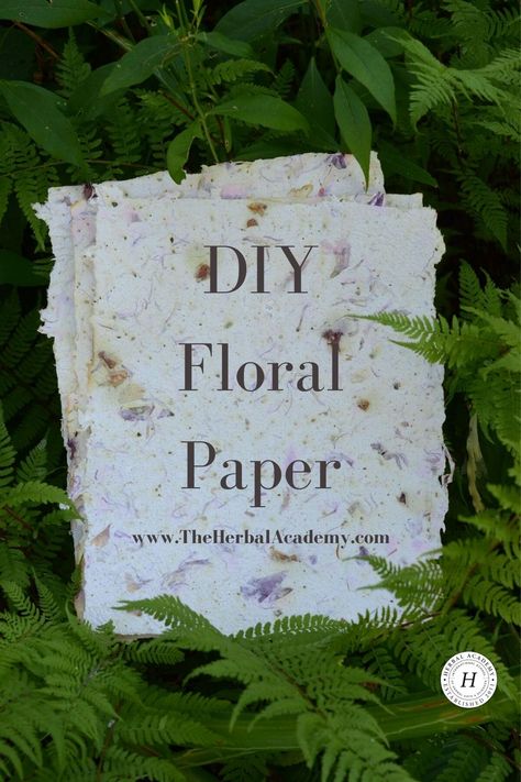 Dried Flower Paper, Make Own Paper, Papermaking Diy, Home Made Paper, Recycler Diy, Diy Handmade Paper, Paper Making Kit, Handmade Stationary, Herbal Academy