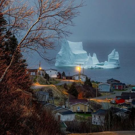 Discover the untouched beauty of Newfoundland and Labrador, where rugged cliffs meet endless ocean horizons. Nature's masterpiece awaits in every corner. 📍 Newfoundland and Labrador 📌 𝐂𝐨𝐮𝐧𝐭𝐫𝐲 : Canada 🇨🇦 📷 @raymackeyphotography . . 🐾 𝐅𝐨𝐥𝐥𝐨𝐰 @epicworldofficial for more stunning photos 🐾 . . 𝐓𝐚𝐠 👥 someone with whom you would like to visit. . . ⚠️ This post is not for copyright infringement purposes.DM or email to take it down #newfoundland #labrador #explorecanada #canadaparadise #canadapla... Newfoundland And Labrador Canada, Newfoundland Houses, L'anse Aux Meadows, Endless Ocean, Labrador Canada, Ocean Horizon, Explore Canada, Newfoundland And Labrador, Copyright Infringement