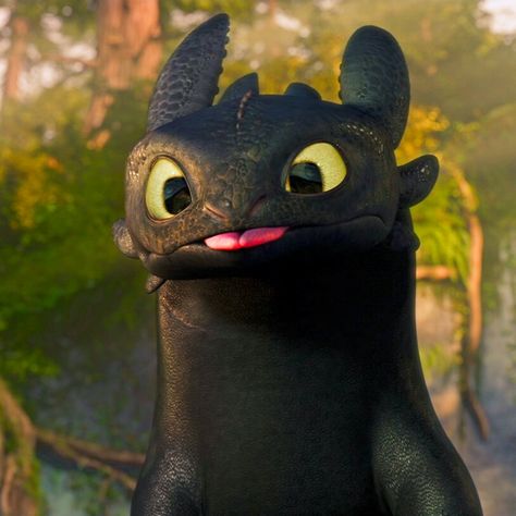 Toothless Dragon, Toothless, The Story, Black