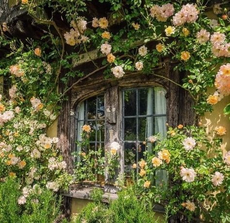 Cottage, Flowers