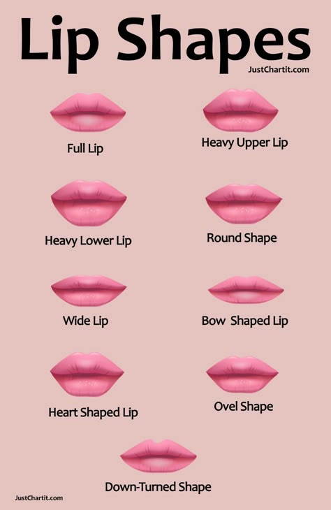 Types Of Lips Shape, Types Of Lips, Eye Shape Chart, Heart Shaped Lips, Lip Types, Botox Lips, Shape Chart, Makeup Books, How To Apply Blush