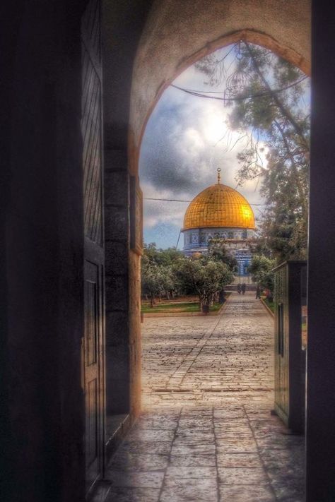 Jewish Inspiration, Jewish Boy, City On A Hill, Golden Dome, Temple Mount, Who Is Jesus, Promised Land, The Holy Land, Holy Land