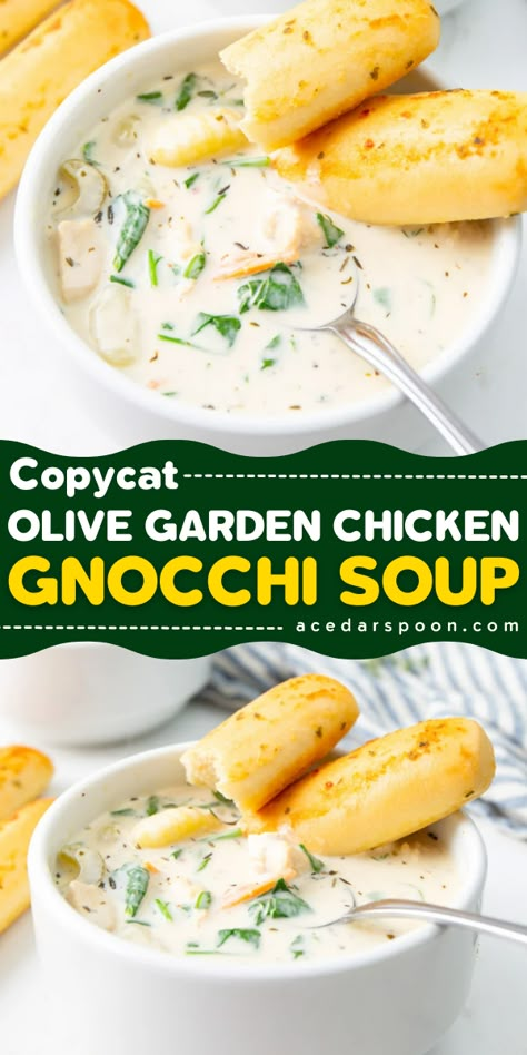 This Copycat Olive Garden Chicken Gnocchi Soup is a comforting soup you can make in the comfort of your home with the familiarity of a restaurant classic. Shredded chicken, vegetables and herbs are mixed in a creamy broth alongside pillowy soft potato gnocchi. Serve this delicious soup with crusty bread to soak up all of those delicious juices. Chicken Potato Gnocchi Soup, Chicken And Nokia Olive Garden, Olive Garden's Chicken Gnocchi Soup, Easy Olive Garden Chicken Gnocchi Soup, Olive Garden Potato Gnocchi Soup, Creamy Chicken Gnocchi Soup Crock Pot, Gnocchi Olive Garden Soup, Copycat Chicken Gnocchi Soup Olive Garden, Recipes With Potato Gnocchi