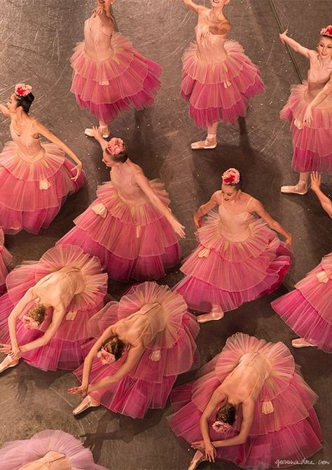 Ballet Beauty, Ballet Inspiration, Tutu Skirts, City Ballet, Nutcracker Ballet, Ballet Photography, Ballet Beautiful, Tiny Dancer, Ballet Costumes