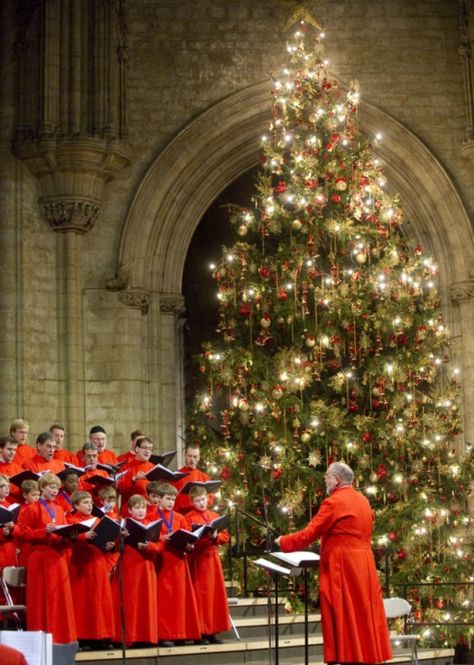 Ely Cathedral, Christmas In England, English Christmas, Cathedral Setting, Christmas In The City, Christmas Carols, The Swing, Christmas Scenes, Holy Night