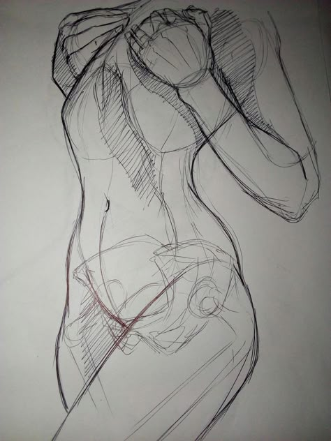 Line Drawing Anatomy, Sketch Anatomy Woman, Female Reference Anatomy, How To Draw Structures, Female Character Drawing Reference, Body Images Art, Sketch Poses Female Anatomy Reference, Drawing Body Poses Sketches, Figure Drawings Sketches