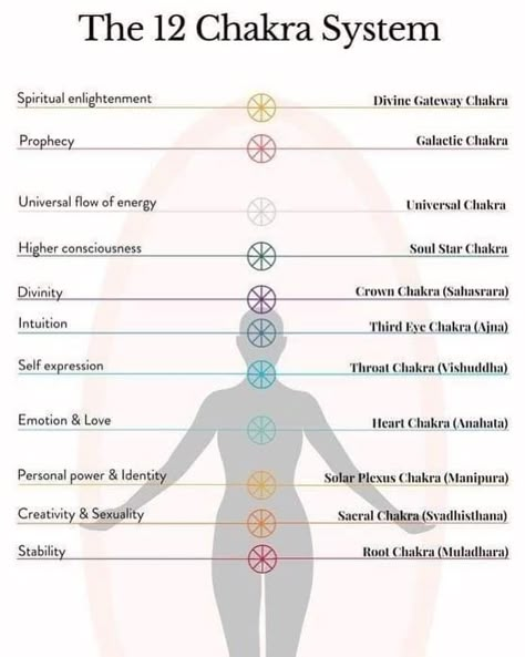 Beyond the 7 well known chakras, there are actually 5 more that run vertically down the center of the body. 

1.Earth Star Chakra
2.Root Chakra
3.Sacral Chakra
4.Solar Plexus Chakra
5.Heart Chakra
6.Throat Chakra
7.Third Eye Chakra
8.Crown Chakra
9.Soul Star Chakra
10.Universal Chakra
11.Galactic Chakra
12.Divine Gateway Chakra

The Earth Star Chakra is located a foot and a half below your feet.
This chakra acts to provide projection of our energy system outside the body. It’s responsible for ou Agna Chakra, Troath Chakra, High Heart Chakra, 11 Chakras, 9 Chakra System, Zeal Point Chakra, The Solar Plexus Chakra, Chakras Location, Galactic Chakra