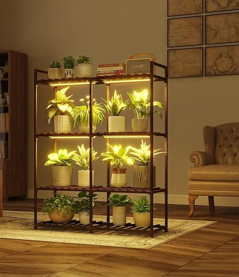 Arlmont & Co. Plant Stand with Grow Lights for Indoor Plants, Wood Plant Shelf 4 Tier Large Flower Stand - Wayfair Canada Partition Shelves, Wooden Plant Shelf, Window Plant Shelf, Indoor Plant Shelves, Indoor Plant Stand, Plant Rack, Window Plants, Support Pour Plante, Support Plante