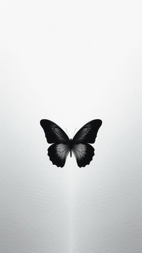 Butterfly animal insect flying. | premium image by rawpixel.com / juju. Butterfly With Black Background, Butterfly White Background, Minimalistic Iphone Wallpaper, Butterfly Flying, Black And White Butterfly, Instagram Black Theme, Butterfly Black And White, Dark Academia Wallpaper, Pretty Wallpapers Tumblr