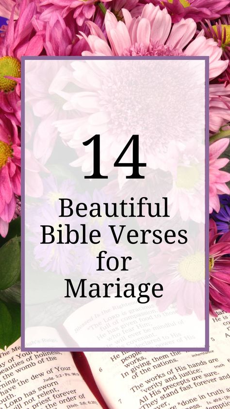 When it comes to building a strong and lasting relationship, Bible verses for marriage offer wisdom that can guide and inspire couples at every stage of their journey. Whether you’re preparing for your wedding day, celebrating many years together, or facing challenges in your relationship, the Bible provides a solid foundation for love, commitment, and […] Bible Verse For Bride To Be, Bible Quote For Marriage, Marriage Biblical Quotes, Bible Verse For Couples Marriage, Christian Wedding Verses, Bible Verse For Anniversary, Bible Verse For Newlyweds, Bible Verse For Marriage Love Scriptures, Bible Wedding Verses