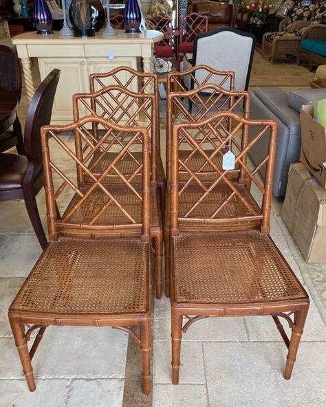 Old Garfield, Bamboo Chair Design, Chinoiserie Chairs, Coastal Dining Rooms, Chaise Bench, Chinese Chippendale Chairs, Diy Doll Furniture, Room Vision Board, Bamboo Dining Chairs