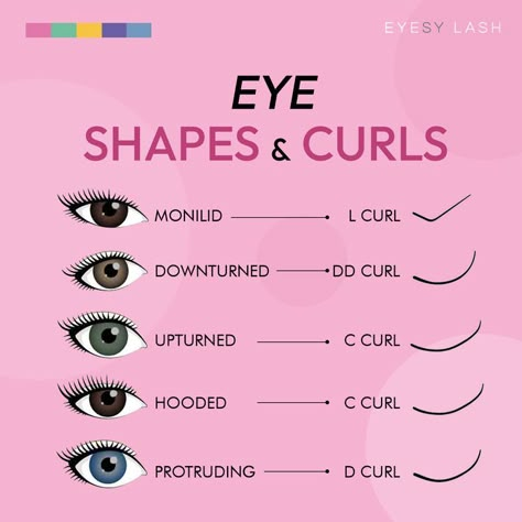 Aesthetician Tips, Eye Shape Chart, Lash Education, Eyelash Studio, Lash Extentions, Eyelash Extension Training, Shape Chart, Lashes Tutorial, Lashes Fake Eyelashes