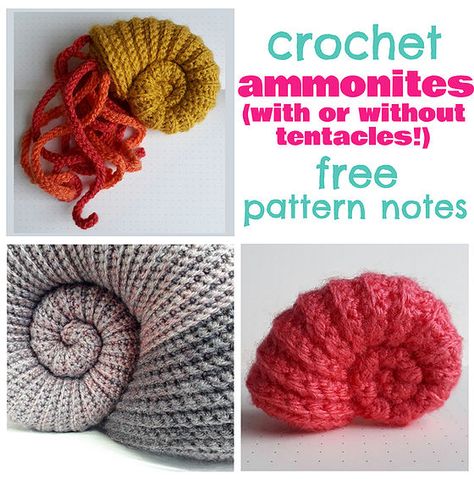 Crocheted Coral Reef, Crochet Coral Reef Pattern, Crochet Shells Free Pattern, Crochet Ammonite Pattern, Free Crochet Shell Pattern, Ammonite Crochet Pattern Free, Sea Shell Crochet Pattern Free, Coral Crochet Pattern Free, Crochet Tentacles Free Pattern