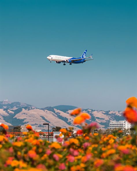 white and blue airplane flying over the orange flower field during daytime photo – Free Airplane Image on Unsplash Airline Booking, Best Holiday Destinations, Best Airlines, Alaska Airlines, Airline Flights, Delta Airlines, Route Map, United Airlines, Conde Nast Traveler