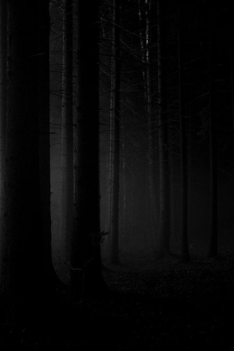 Eldritch Aesthetic, Aesthetic Generator, Dark Art Photography, Minimalist Photography, Dark Places, Dark Photography, Alam Yang Indah, White Photo, Dark Forest