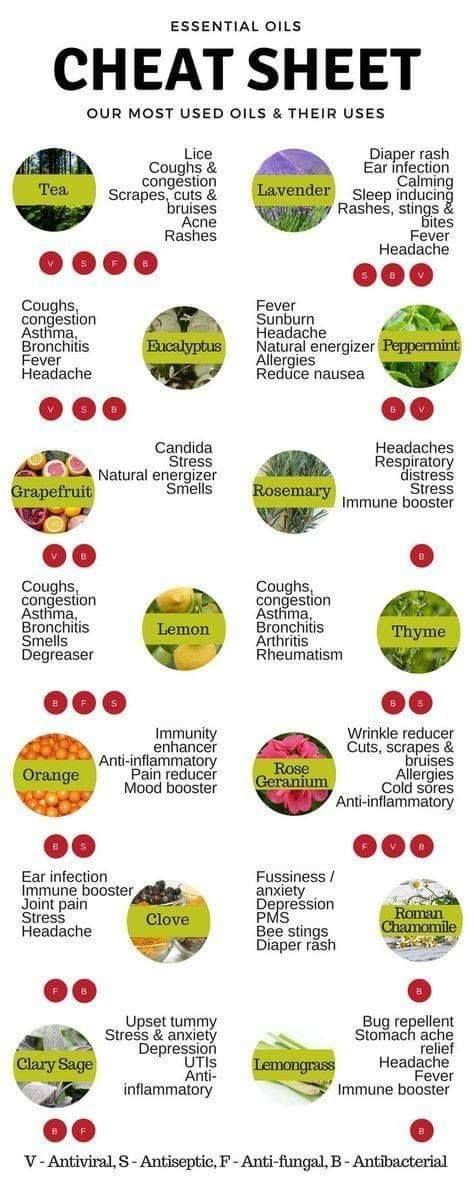 Essential Oils And What They Help With, What Essential Oils Do What, Natural Headache, Essential Oils 101, Doterra Oil, Essential Oils Guide, Oil Remedies, Essential Oils Health, Essential Oils Recipes