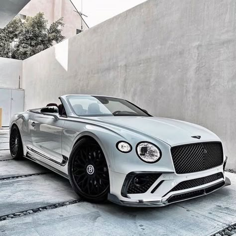 Bentley Sport, Bentley Continental Gt Speed, Bentley Gt, Bentley Motors, Luxury Appliances, Top Luxury Cars, High End Cars, Lux Cars, 강아지 그림