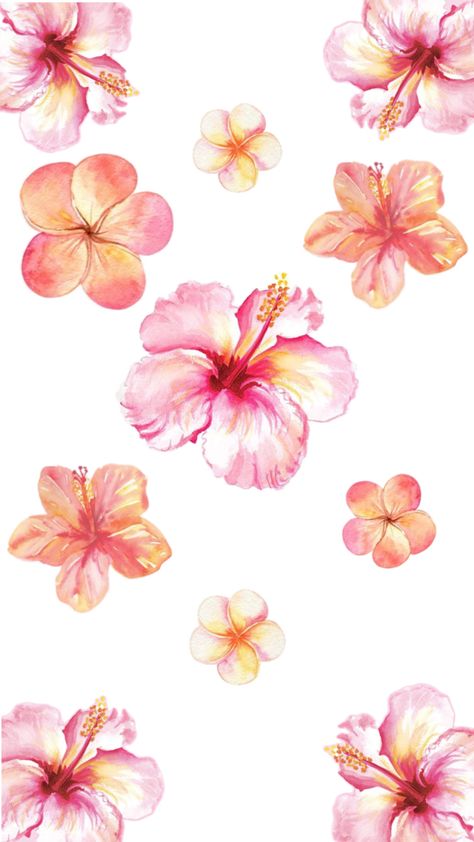 Hibiscus Flower Wallpaper Laptop, Hibiscus Flower Wallpaper Aesthetic, Hibiscus Wallpaper, Baby Pink Wallpaper Iphone, Pink Wallpaper Ipad, Summer Wallpapers, Simple Wallpaper, Book Wall Art, Cute Summer Wallpapers