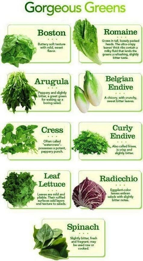 Plantarea Legumelor, Types Of Lettuce, Food Charts, Food Info, Cooking Basics, Food Facts, Fruits And Veggies, Hydroponics, Health And Nutrition