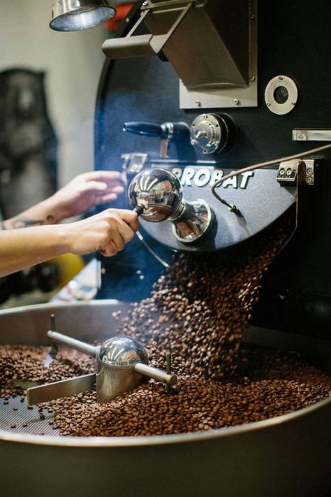 Coffee Roastery, Natural Coffee, Coffee Photography, Quality Coffee, Speciality Coffee, Coffee Cafe, Coffee Roasters, Mini Desserts, Coffee Roasting