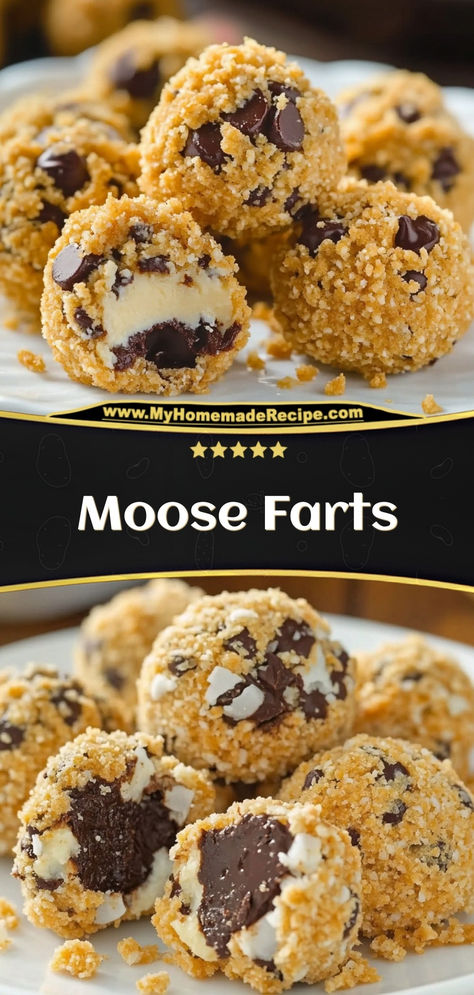 These “moose farts” are sweet, chewy, and packed with coconut, graham crackers, and condensed milk. A fun and unique treat!  Ingredients:  1 cup shredded coconut 1 cup graham cracker crumbs ½ cup sweetened condensed milk ½ cup mini marshmallows Enjoy these moose farts as a playful, chewy dessert perfect for sharing Fun Kids Snacks To Make, Chocolate Mice Recipe, Graham Cracker Crumb Recipes Desserts, Graham Cracker Bars Condensed Milk, Christmas Treats Crockpot, Crockpot Cookies Christmas, Mouse Farts Cookies, Treats For Large Groups, Easy Baked Christmas Gifts