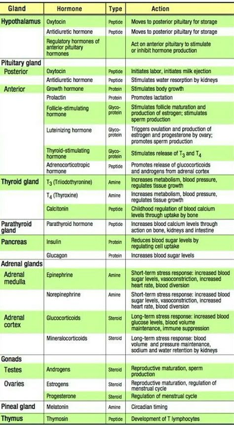 Hormones. | Medical school essentials, Medical school studying, Pharmacology nursing Hormone Study Notes, Human Body Hormones, Hormones Vs Neurotransmitters, Endocrine Hormones Cheat Sheet, Hormones And Their Functions, Adrenal Gland Hormones, Endocrine System Hormones, Endocrine System Nursing, Medical Terminology Study