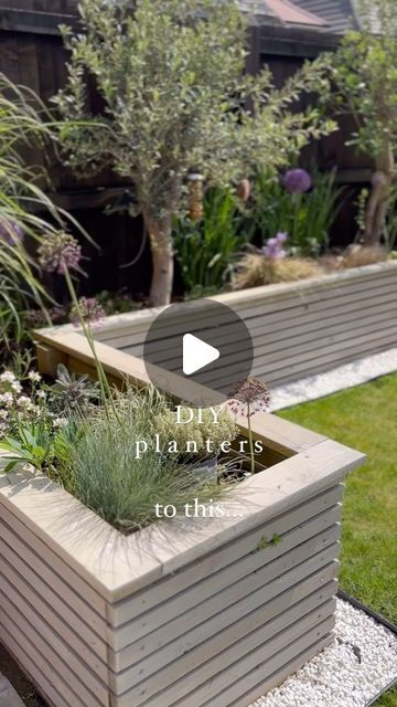 Sarah Heard ✨ on Instagram: "DIY Garden Planters… two years on 🪴   We’ve sanded them down this year to give the wood a smoother finish and a fresh lick of paint using @cuprinol_uk Natural Stone   Our plants are blooming this year and we’ve placed the big olive trees in them as well, which has made all the difference. Not bad what some fence posts, roof battens and some heavy duty weed liner can do!  #diyplanter #raisedborders #gardenborder #diygarden #smallgardenideas #newbuildgarden #roofbatten #slattedfence #gardeninglove #gardentransformation #gardenmakeover #smallgarden #plantingtrees #budgetgardening #gardendesignuk #gardenlife #myhomeandgarden #ukgardens #gardensgreatorsmall #patioideas #gardenpatio #stonepatio #olivetrees #alliums #hydrangeaannabelle #neutralgarden #naturalstonepav Garden Boarders Ideas Diy, Garden Boarders Ideas, Diy Garden Planters, Walkway Diy, Fence Colours, Paver Walkway Diy, Paver Walkway, Backyard Seating, Hydrangea Garden