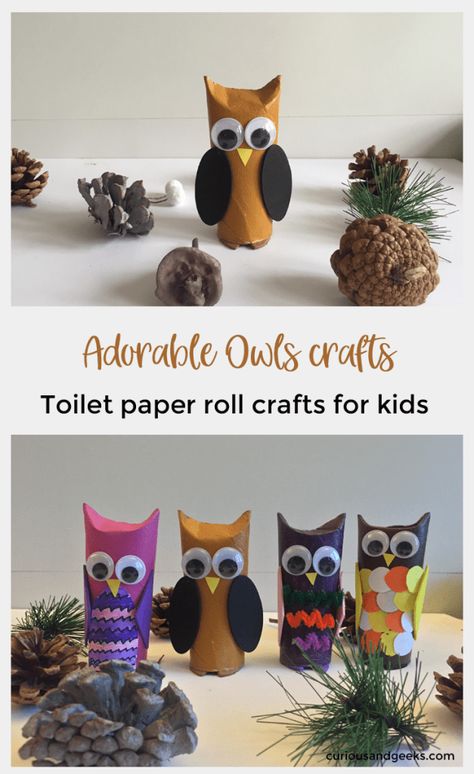 Here is an easy toilet paper roll owl craft to make with your kids. Our tutorial includes 4 different owls toilet paper roll crafts for kids. #birds #owlcrafts Toilet Roll Crafts, Owl Craft, Toilet Roll Craft, Roll Craft, Toilet Paper Crafts, Owl Crafts, Toilet Paper Roll Crafts, Toilet Paper Rolls, Paper Roll Crafts