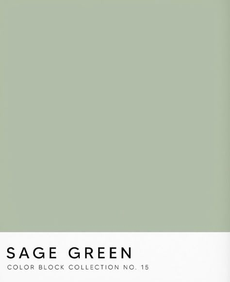 Color For Home, Sage Green Aesthetic, Sage Green Paint, Green Color Block, Sage Green Color, Home Outside, Paint Swatches, Sage Color, Pretty Green