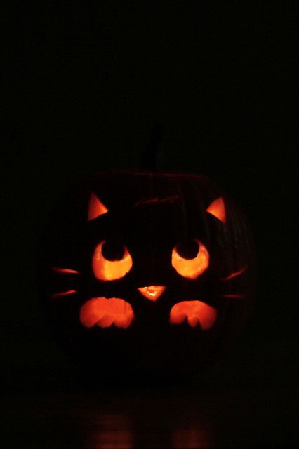 Cat Face Pumpkin, Unique Pumpkin Carving Ideas, Cat Pumpkin Carving, Cozy Fall Home, Pumpkin Idea, Pumpkin Cravings, Cute Pumpkin Carving, Ideas For Autumn, Pumkin Carving