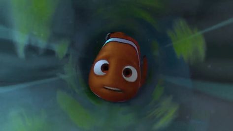 Thoughts On: Finding Nemo - The Family Circle Of Trust: Adventure & Nemo pt.2 Finding Nemo Decorations, Nemo Wallpaper, Fish Facts, Nemo Fish, Finding Nemo 2003, Fish List, Circle Of Trust, Family Circle, Film Disney