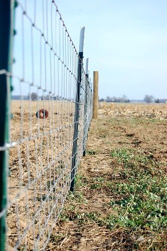 T Post Fence Ideas, T Post Fence, Goat Fence, Yard Hacks, Farm Fencing, Livestock Fence, Chicken Wire Fence, Cow Barn, Welded Wire Fence